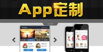 北京中聯(lián)科技網(wǎng)站APP小程序定制建設設計開發(fā)報價公司