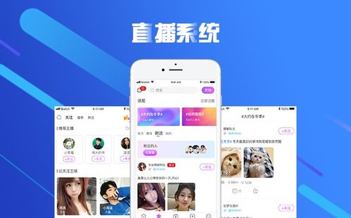 北京中聯科技系統軟件直播APP小程序網站定制建設開發公司